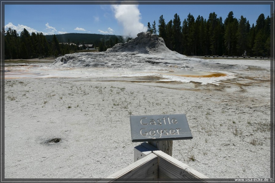 Upper_Geyser_2025_008