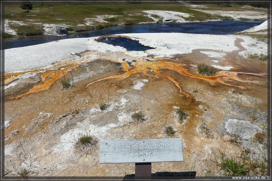 Upper_Geyser_2025_011