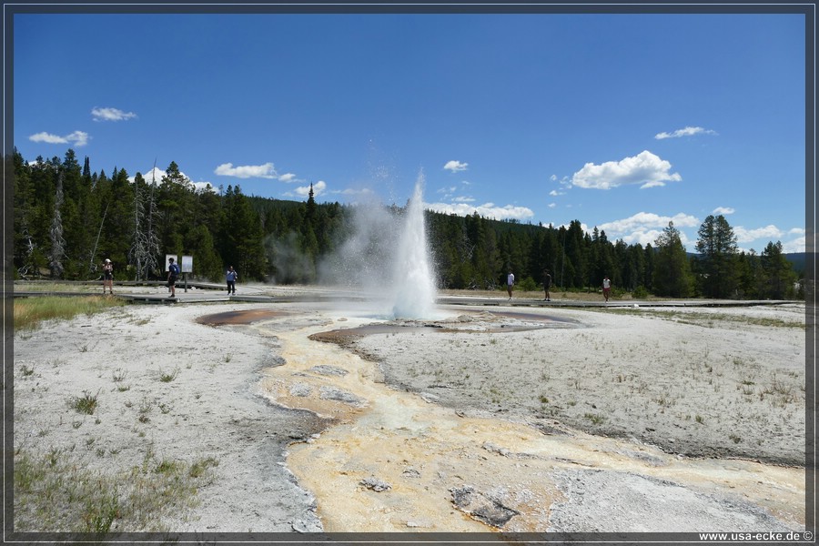 Upper_Geyser_2025_014