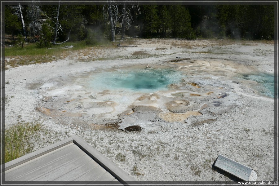 Upper_Geyser_2025_016