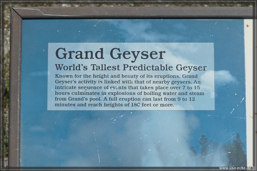 Upper_Geyser_2025_022