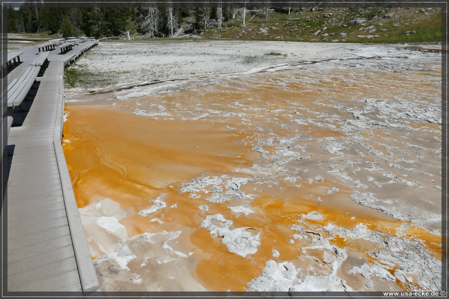 Upper_Geyser_2025_024
