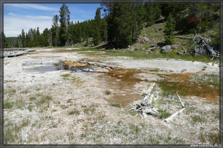 Upper_Geyser_2025_025