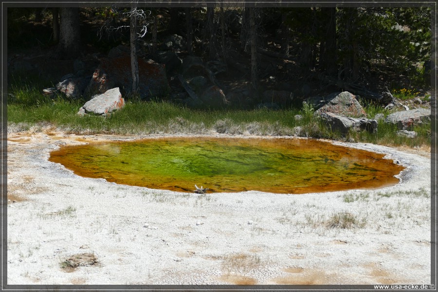 Upper_Geyser_2025_027