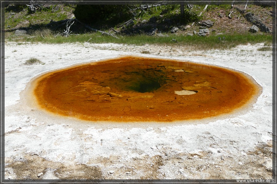 Upper_Geyser_2025_029