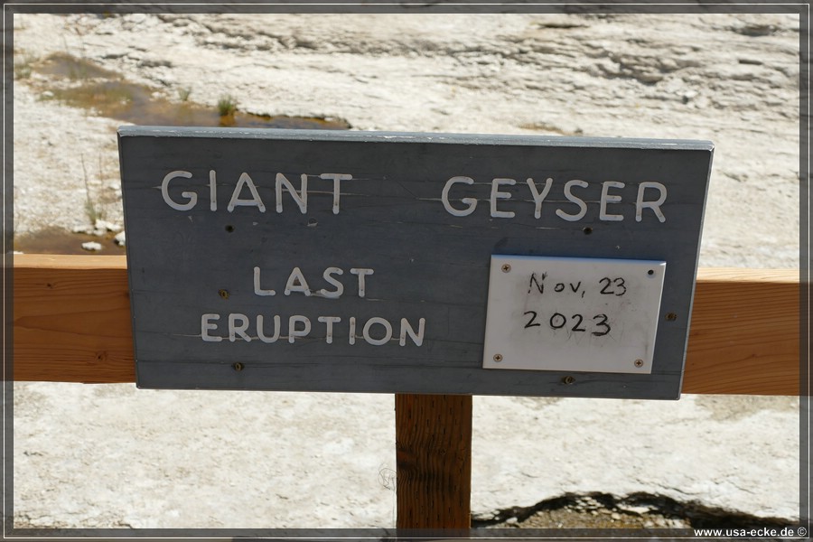 Upper_Geyser_2025_036