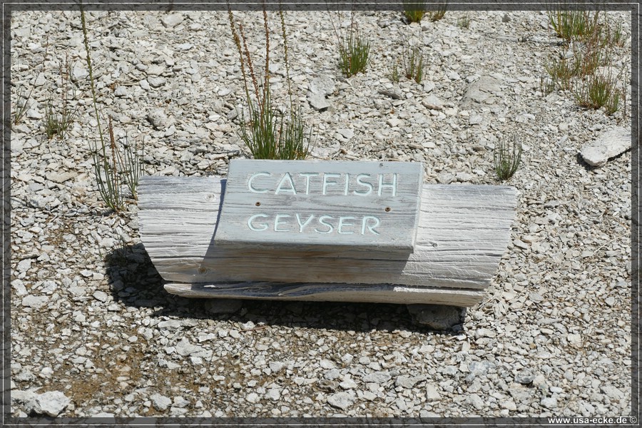 Upper_Geyser_2025_038
