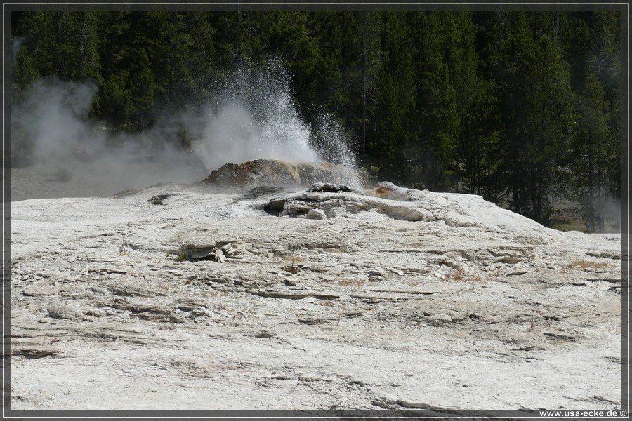 Upper_Geyser_2025_041
