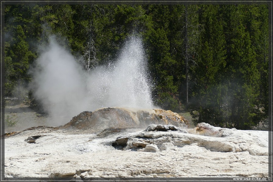 Upper_Geyser_2025_042
