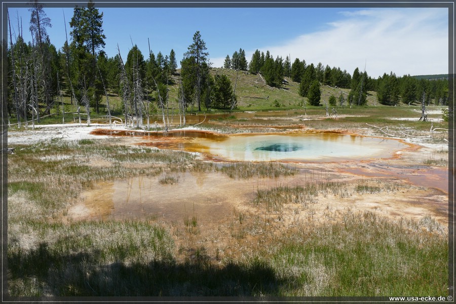 Upper_Geyser_2025_051