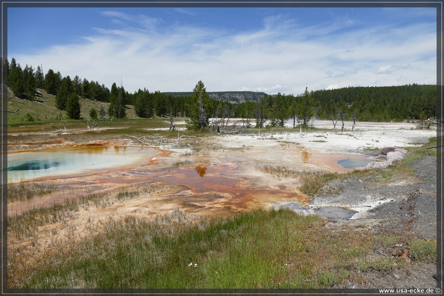 Upper_Geyser_2025_052