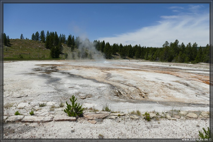 Upper_Geyser_2025_053