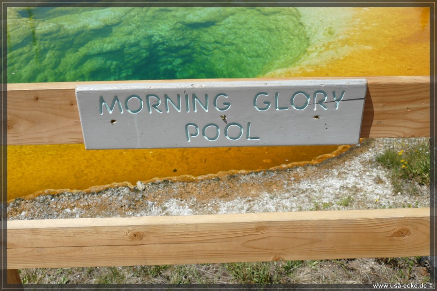 Upper_Geyser_2025_059