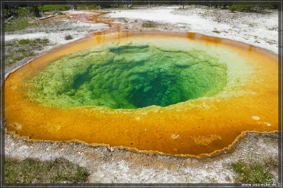 Upper_Geyser_2025_060