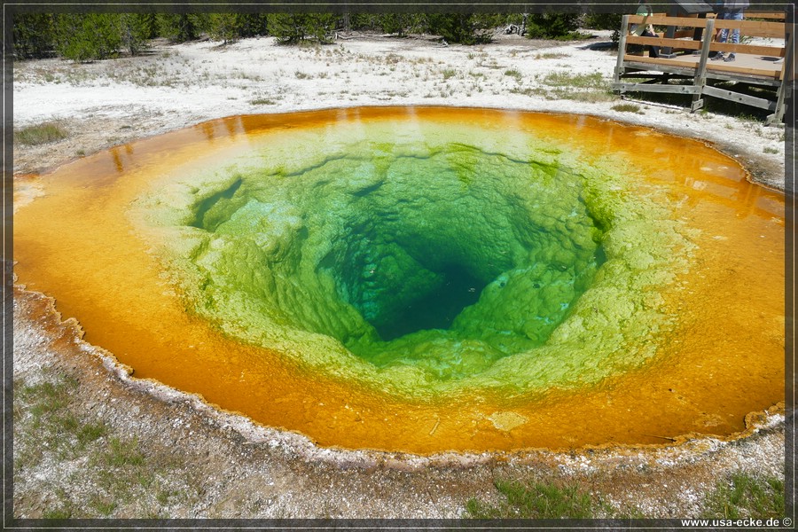 Upper_Geyser_2025_061