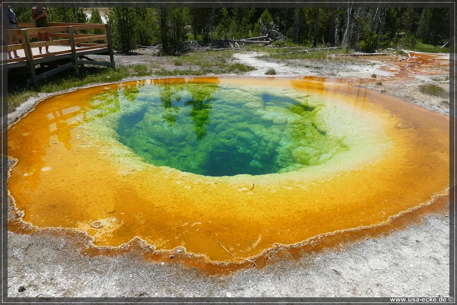 Upper_Geyser_2025_062