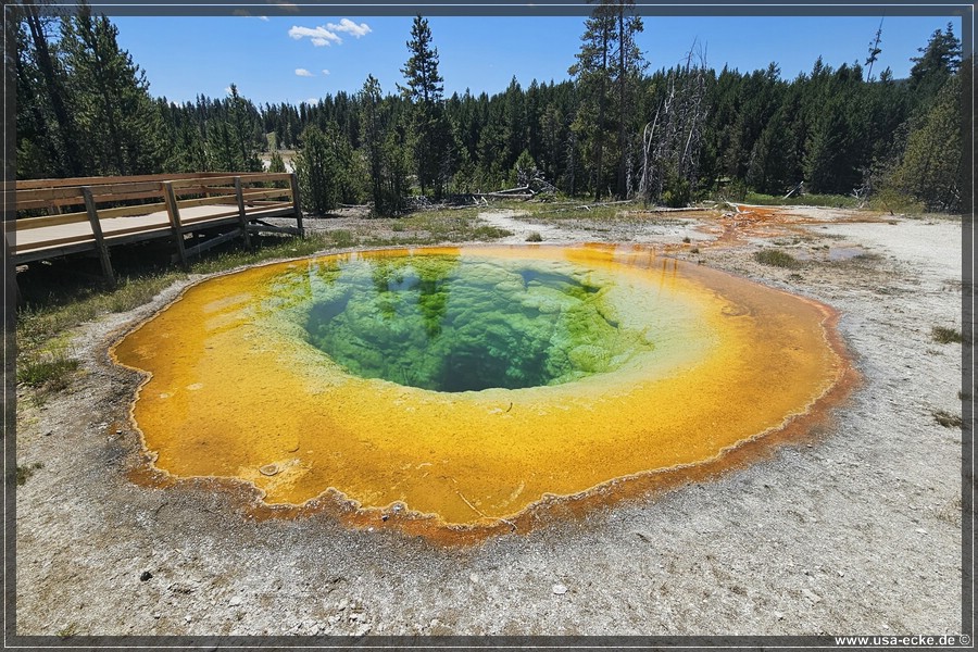 Upper_Geyser_2025_063