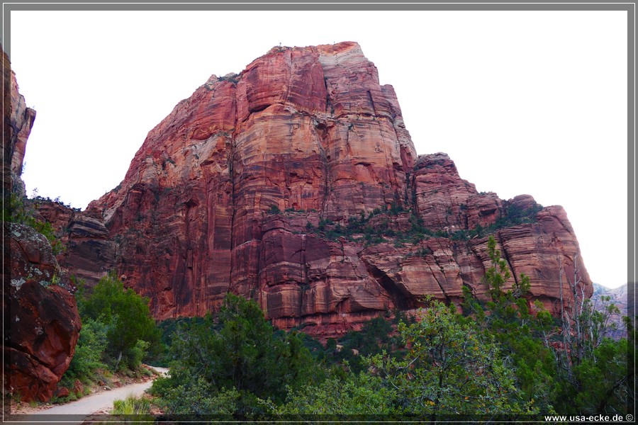 ZionNP2015_003