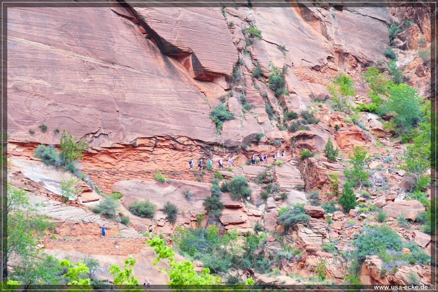 ZionNP2015_006