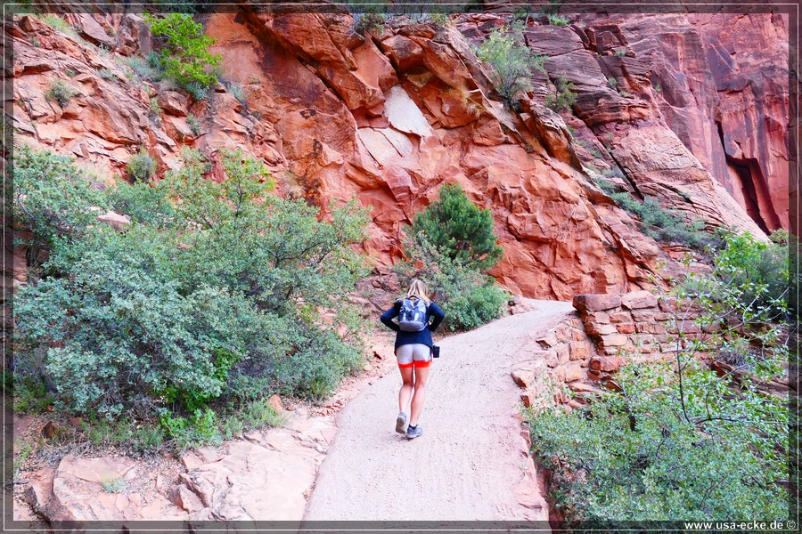 ZionNP2015_007