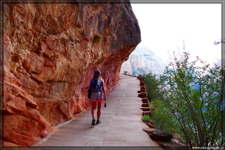 ZionNP2015_009