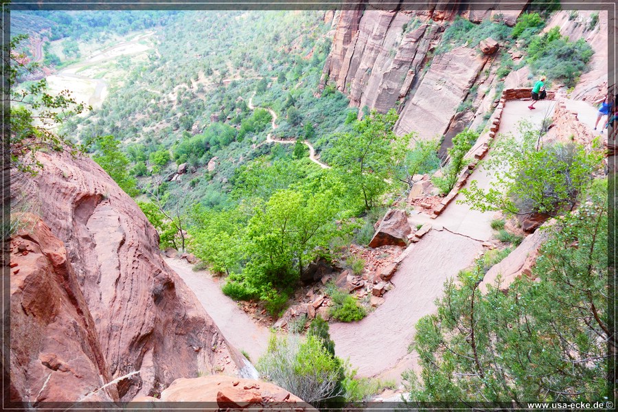 ZionNP2015_010