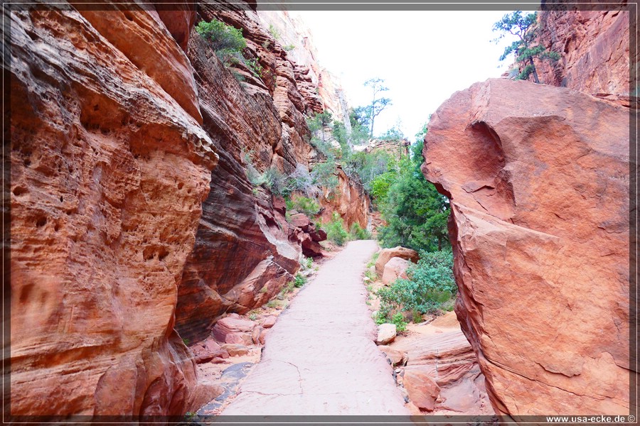 ZionNP2015_011