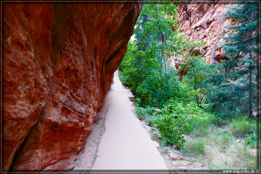 ZionNP2015_014