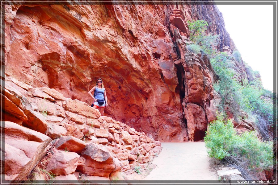 ZionNP2015_015