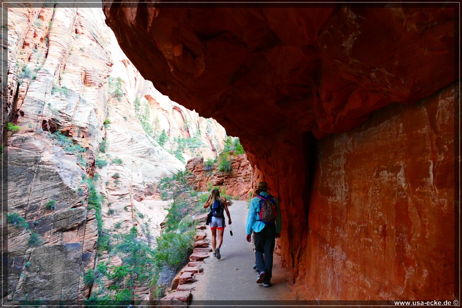 ZionNP2015_016