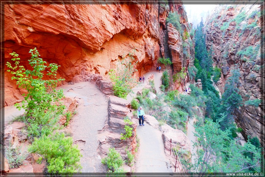 ZionNP2015_017