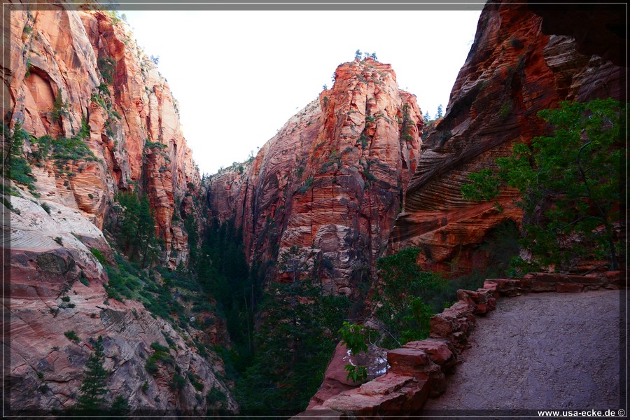 ZionNP2015_018