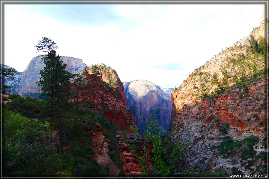 ZionNP2015_021