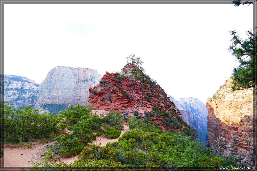 ZionNP2015_023