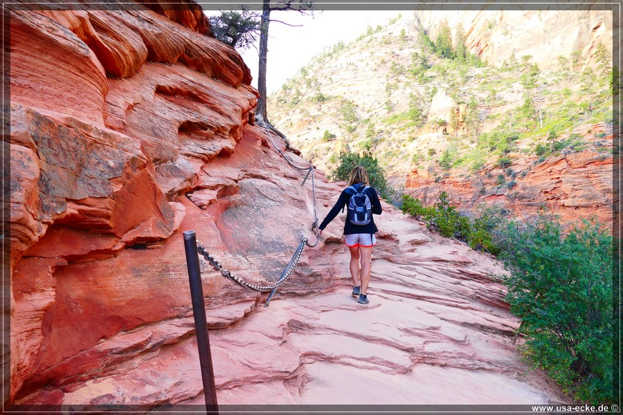 ZionNP2015_025