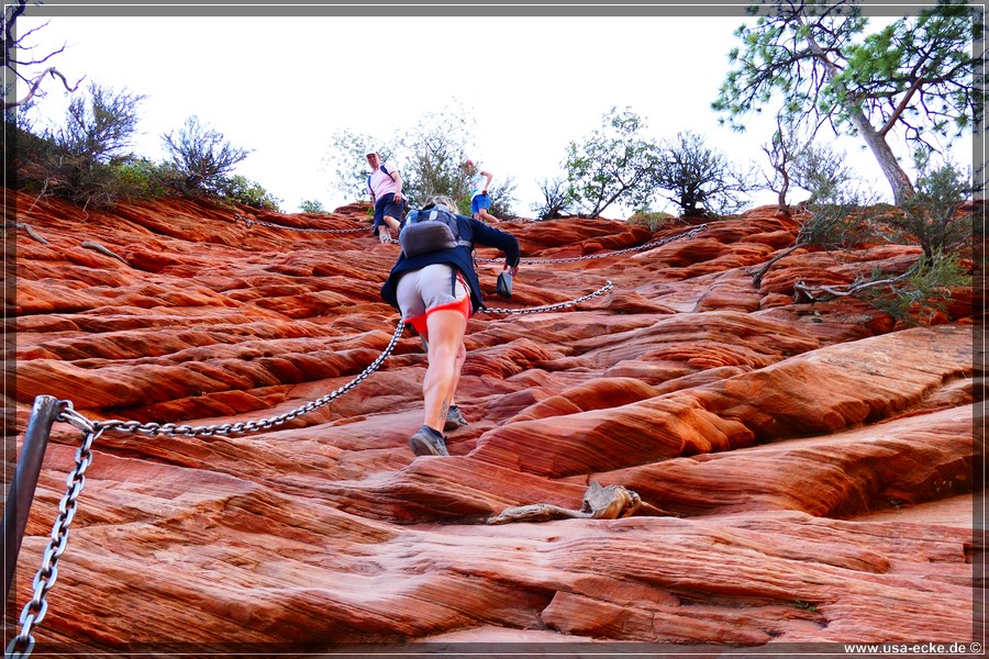 ZionNP2015_026