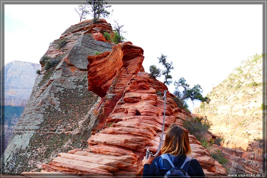 ZionNP2015_027