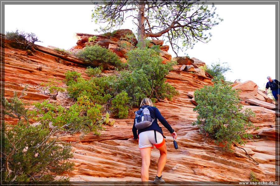 ZionNP2015_033