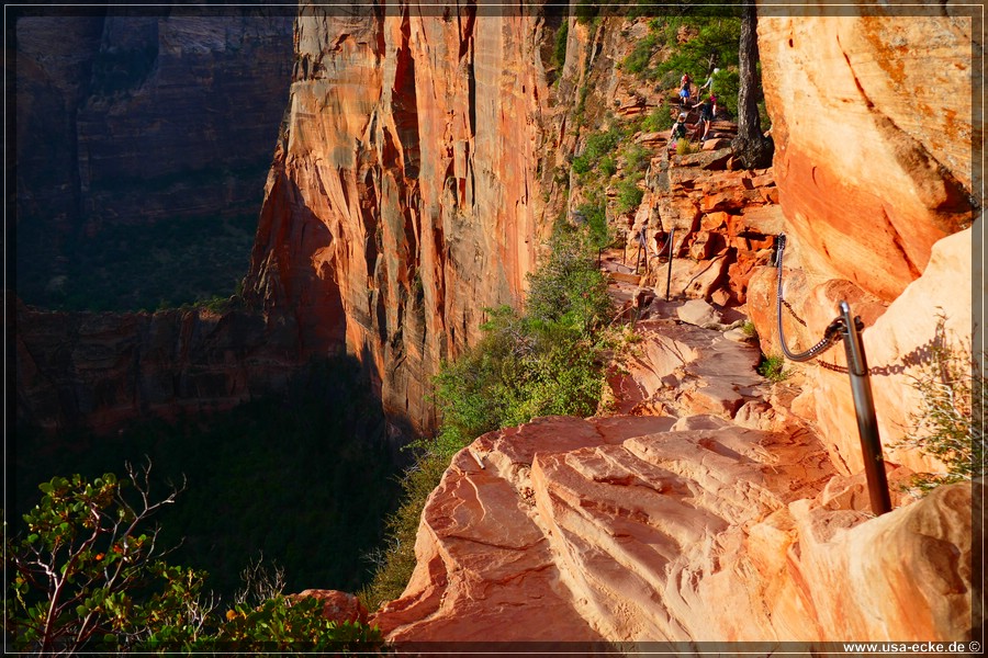 ZionNP2015_035