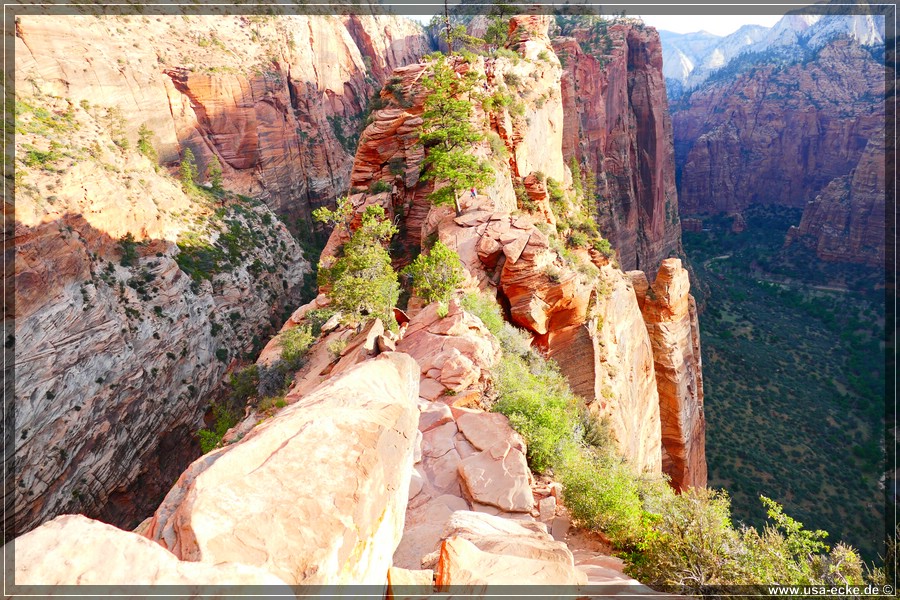 ZionNP2015_037