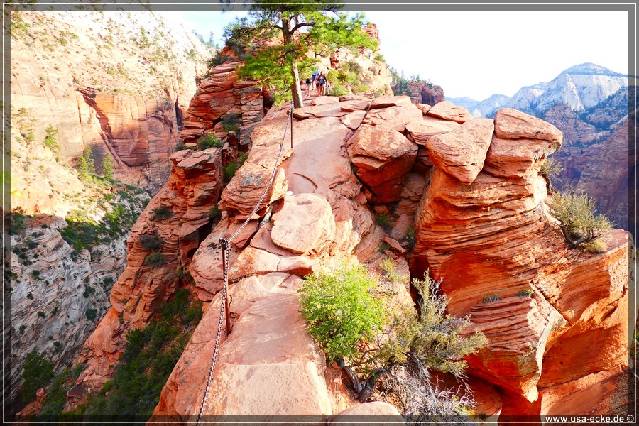 ZionNP2015_038