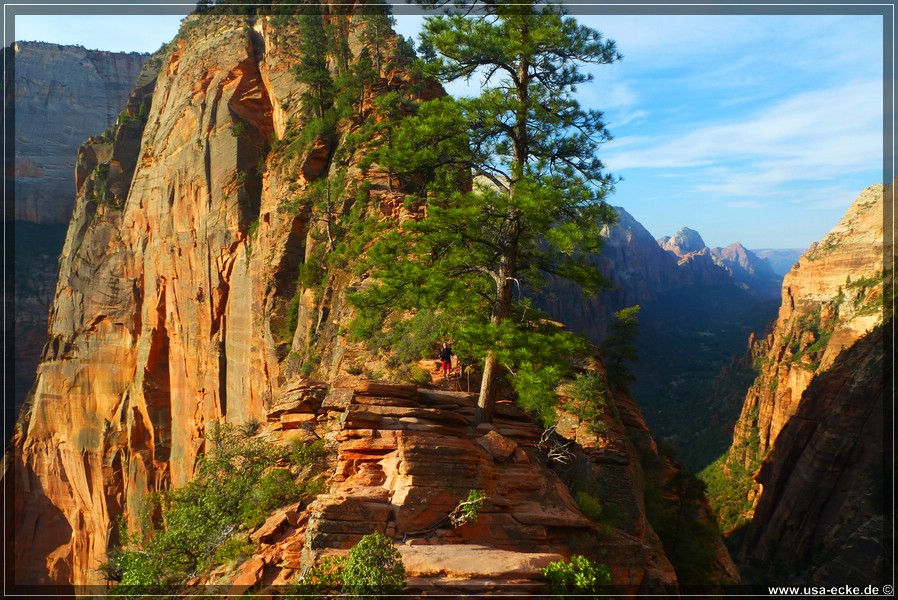 ZionNP2015_039