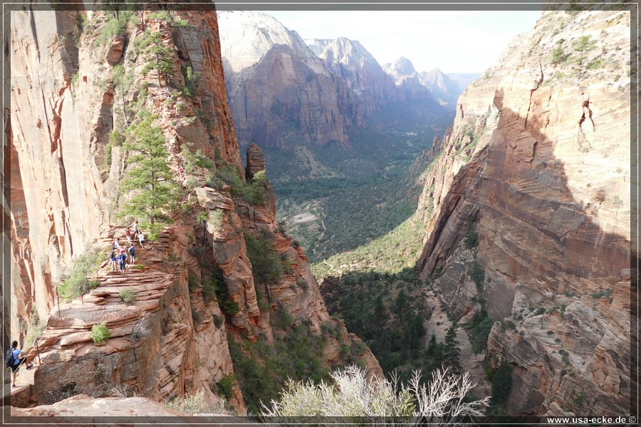 ZionNP2015_047