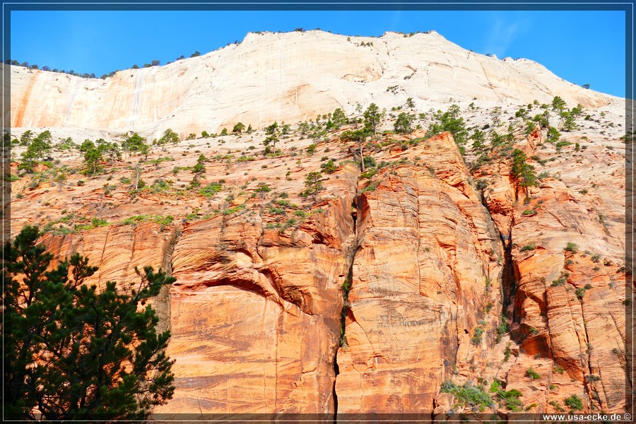 ZionNP2015_051