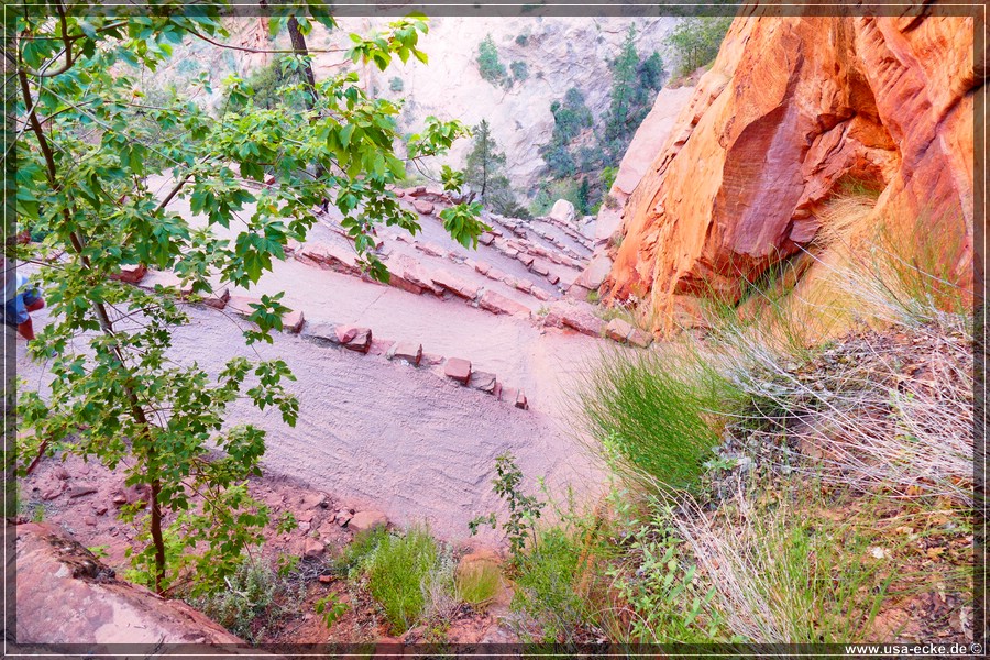 ZionNP2015_052