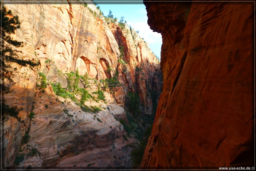 ZionNP2015_054