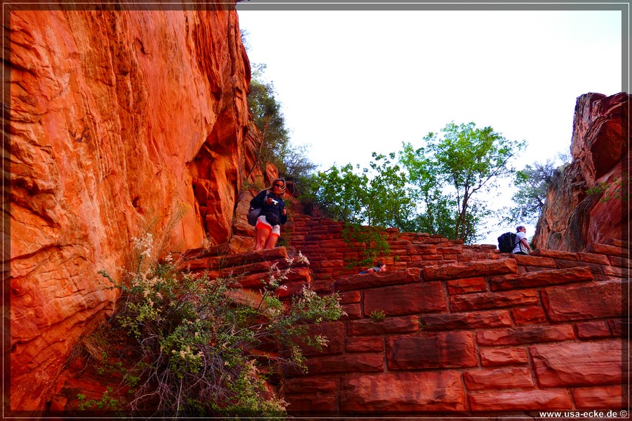 ZionNP2015_055