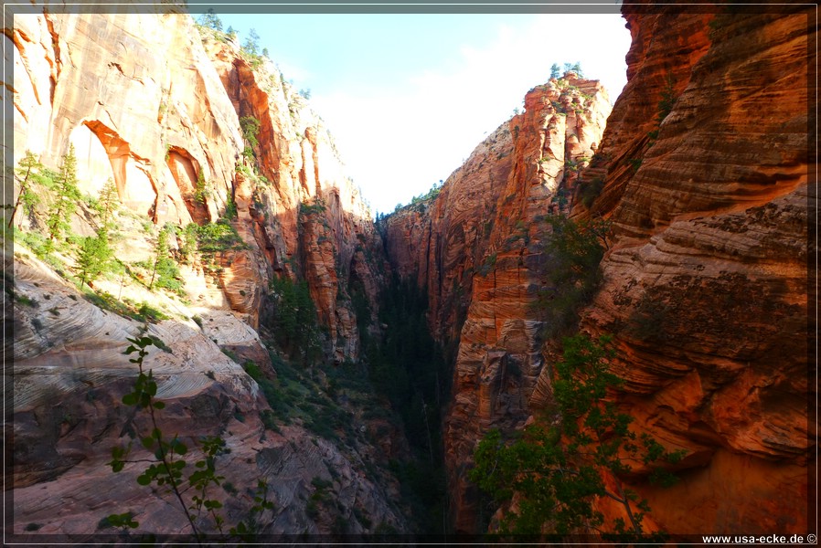 ZionNP2015_058