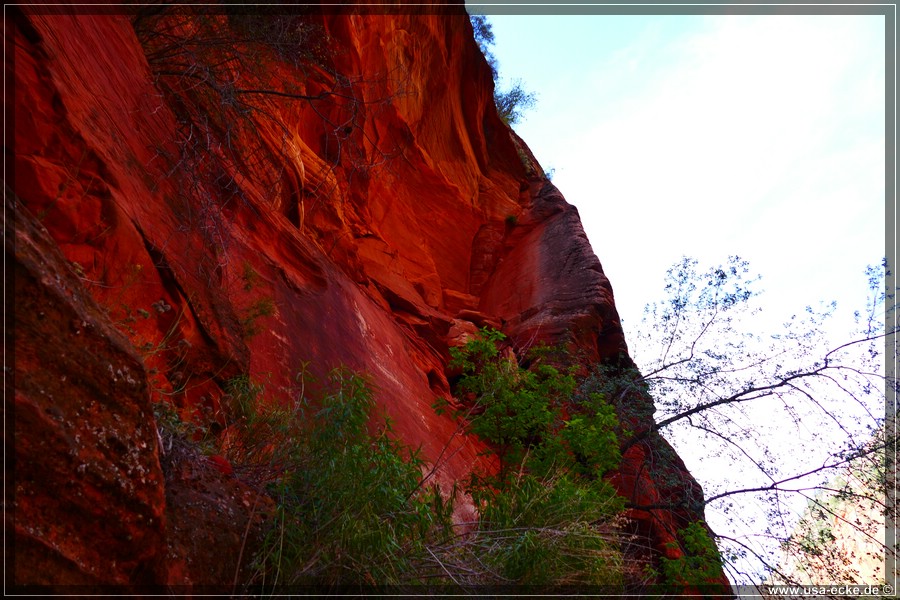 ZionNP2015_059