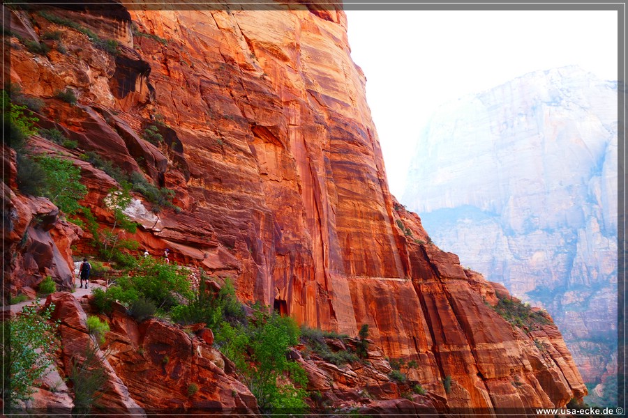 ZionNP2015_063